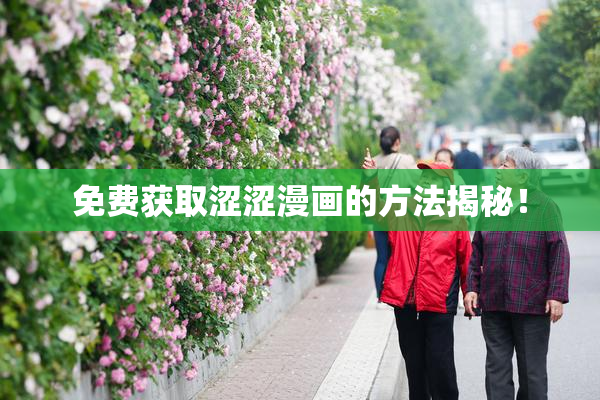 免费获取涩涩漫画的方法揭秘！