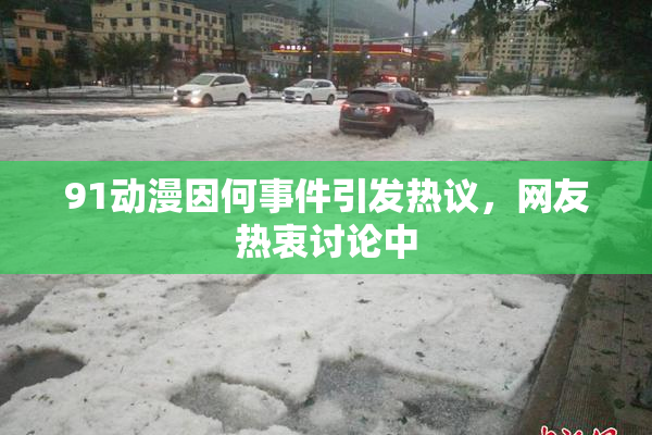 91动漫因何事件引发热议，网友热衷讨论中