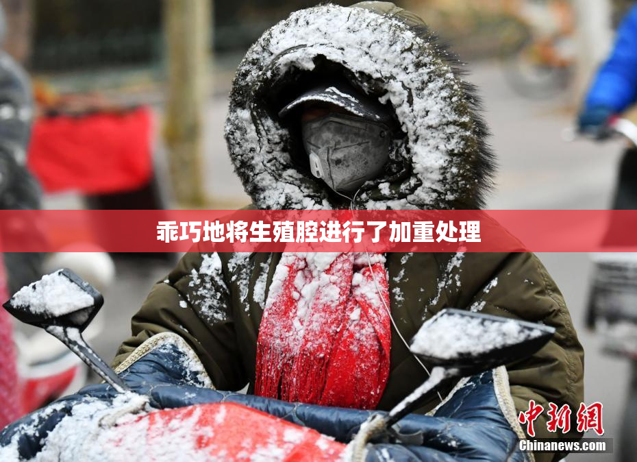乖巧地将生殖腔进行了加重处理