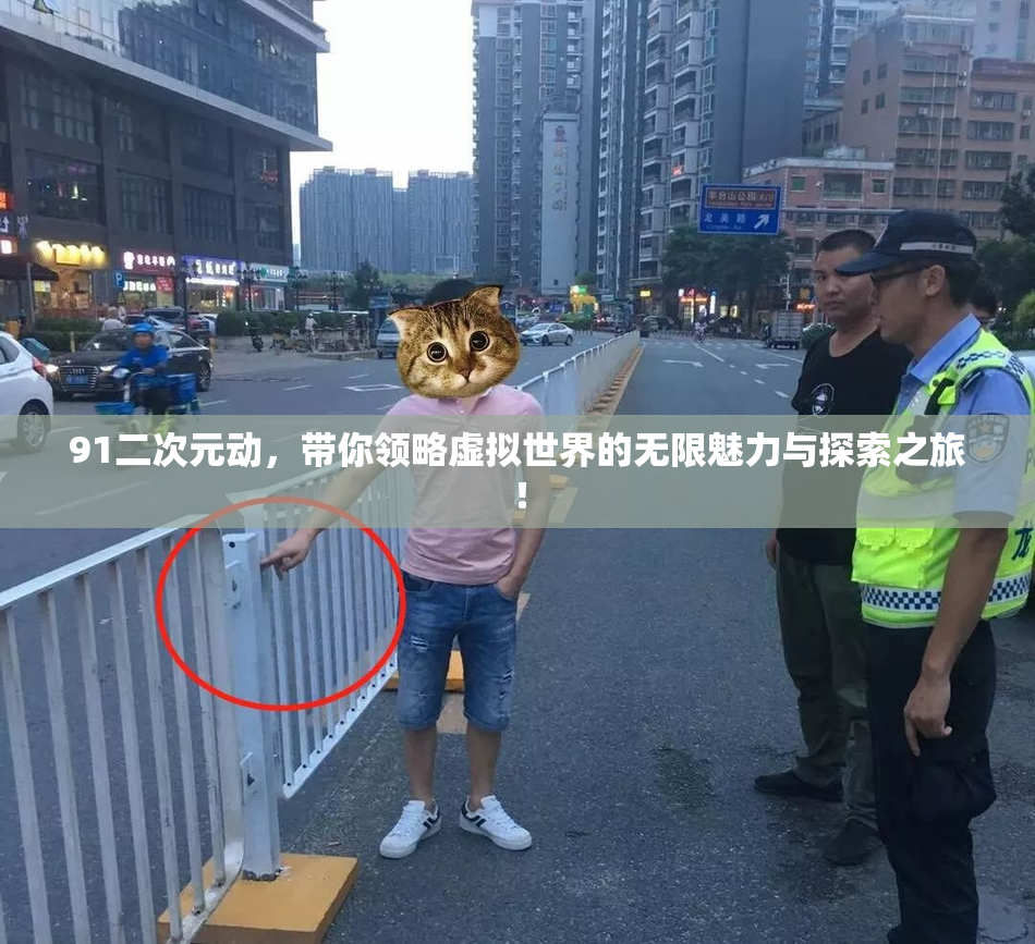 91二次元动，带你领略虚拟世界的无限魅力与探索之旅！