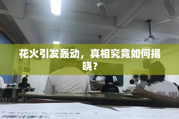 花火引发轰动，真相究竟如何揭晓？