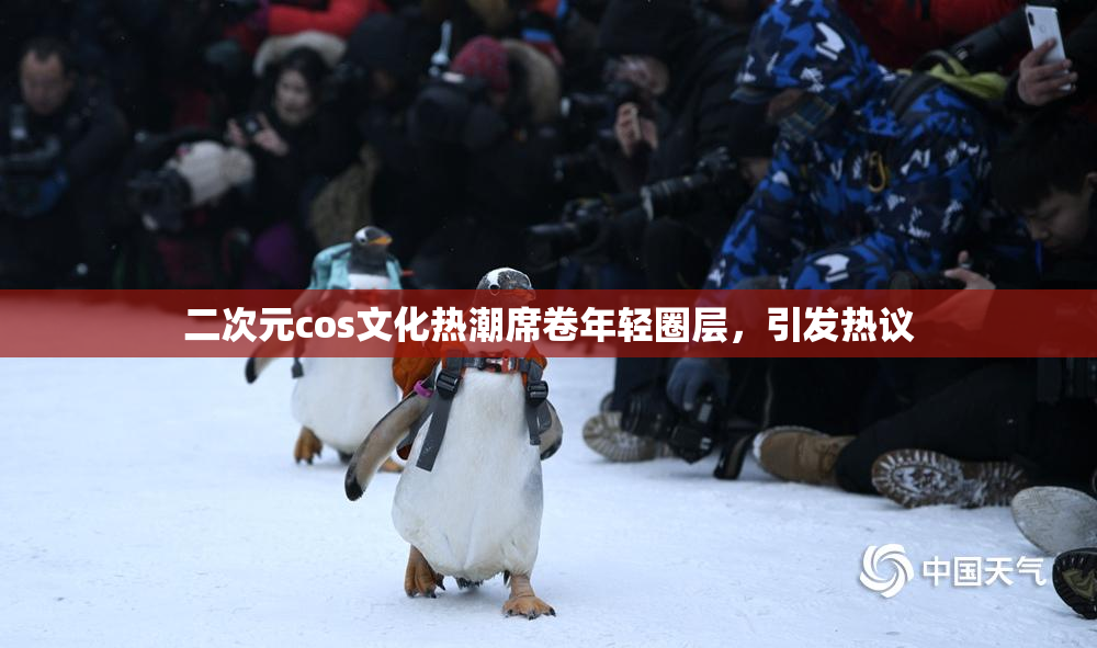 二次元cos文化热潮席卷年轻圈层，引发热议
