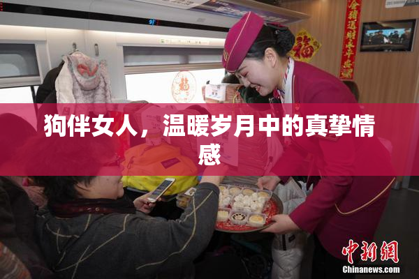 狗伴女人，温暖岁月中的真挚情感