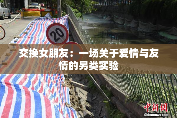 交换女朋友：一场关于爱情与友情的另类实验