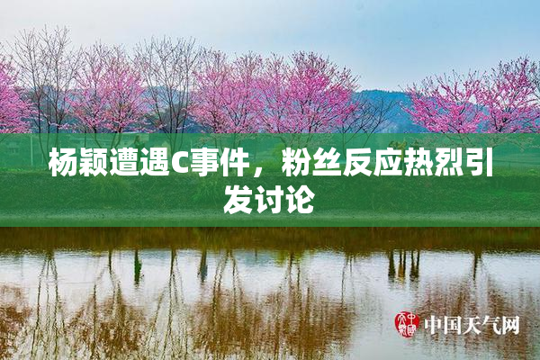 杨颖遭遇C事件，粉丝反应热烈引发讨论