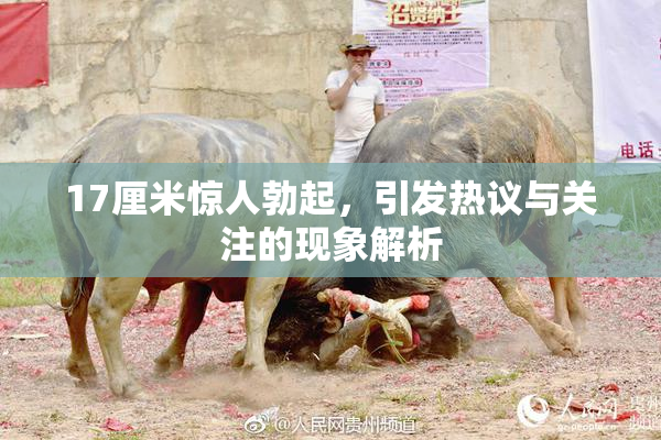 17厘米惊人勃起，引发热议与关注的现象解析