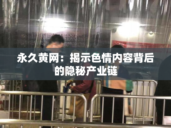 永久黄网：揭示色情内容背后的隐秘产业链
