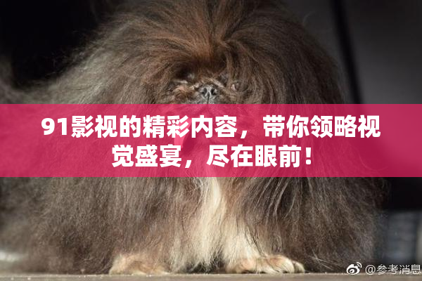91影视的精彩内容，带你领略视觉盛宴，尽在眼前！