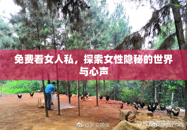 免费看女人私，探索女性隐秘的世界与心声