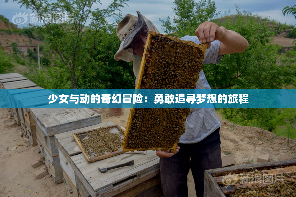 少女与动的奇幻冒险：勇敢追寻梦想的旅程