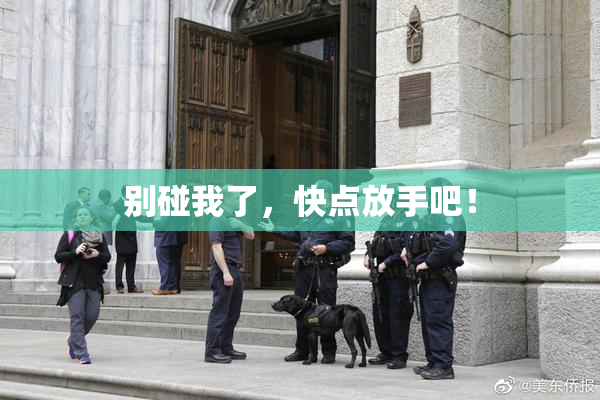 别碰我了，快点放手吧！
