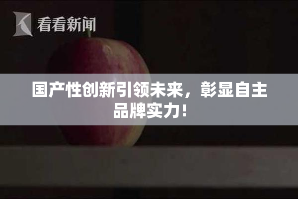 国产性创新引领未来，彰显自主品牌实力！