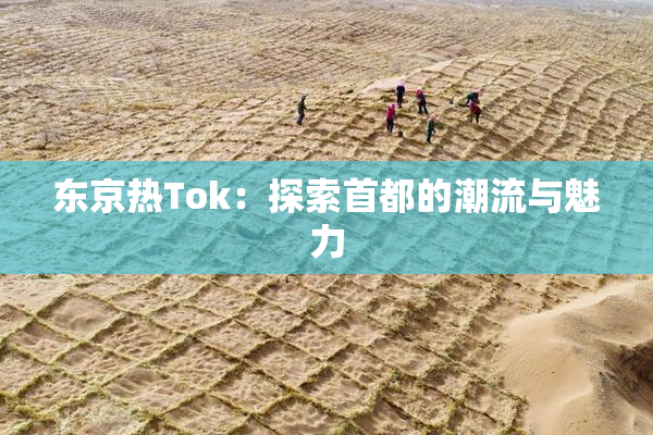 东京热Tok：探索首都的潮流与魅力