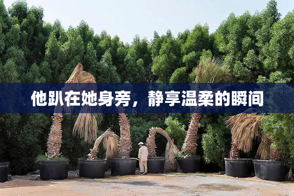 他趴在她身旁，静享温柔的瞬间