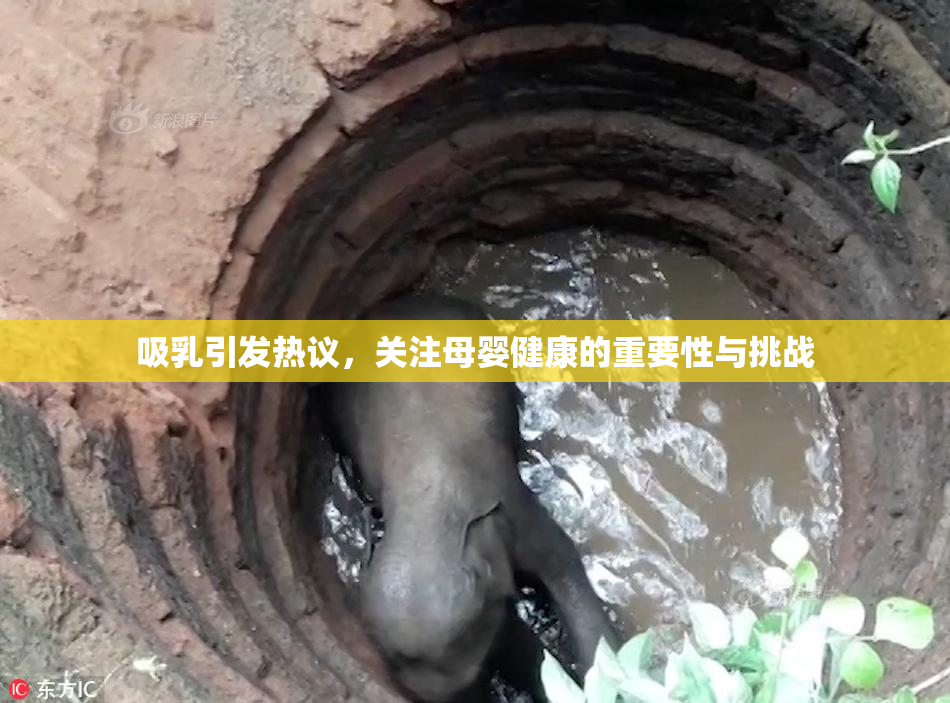吸乳引发热议，关注母婴健康的重要性与挑战