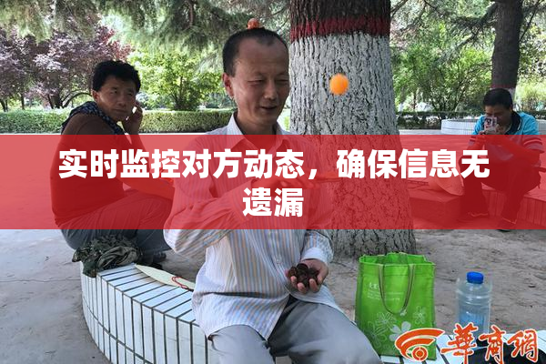 实时监控对方动态，确保信息无遗漏