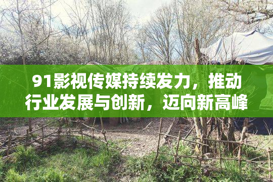 91影视传媒持续发力，推动行业发展与创新，迈向新高峰！