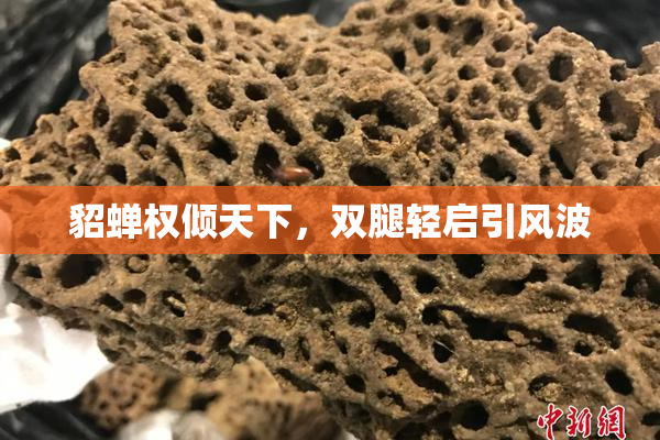 貂蝉权倾天下，双腿轻启引风波