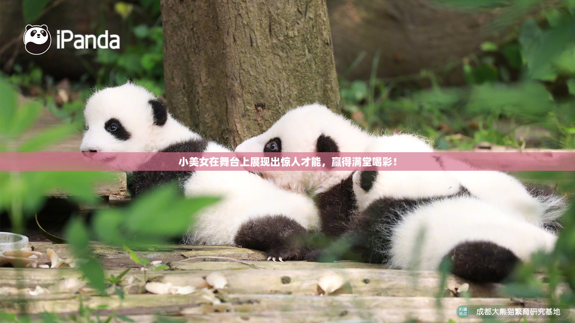 小美女在舞台上展现出惊人才能，赢得满堂喝彩！