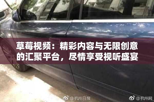 草莓视频：精彩内容与无限创意的汇聚平台，尽情享受视听盛宴
