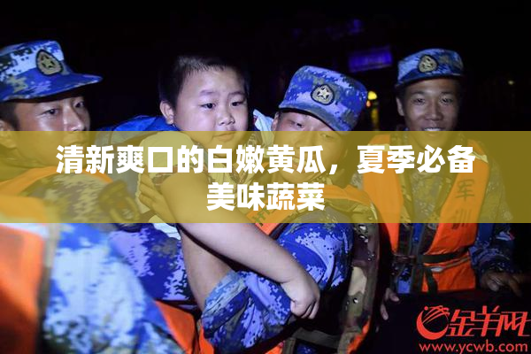 清新爽口的白嫩黄瓜，夏季必备美味蔬菜