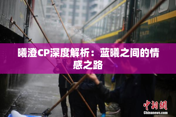 曦澄CP深度解析：蓝曦之间的情感之路