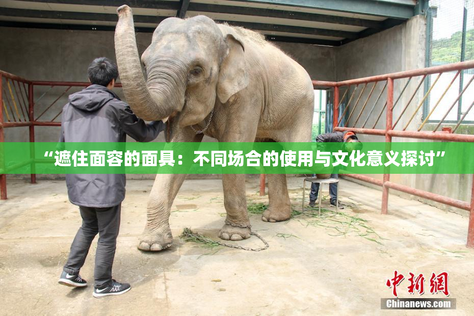 “遮住面容的面具：不同场合的使用与文化意义探讨”