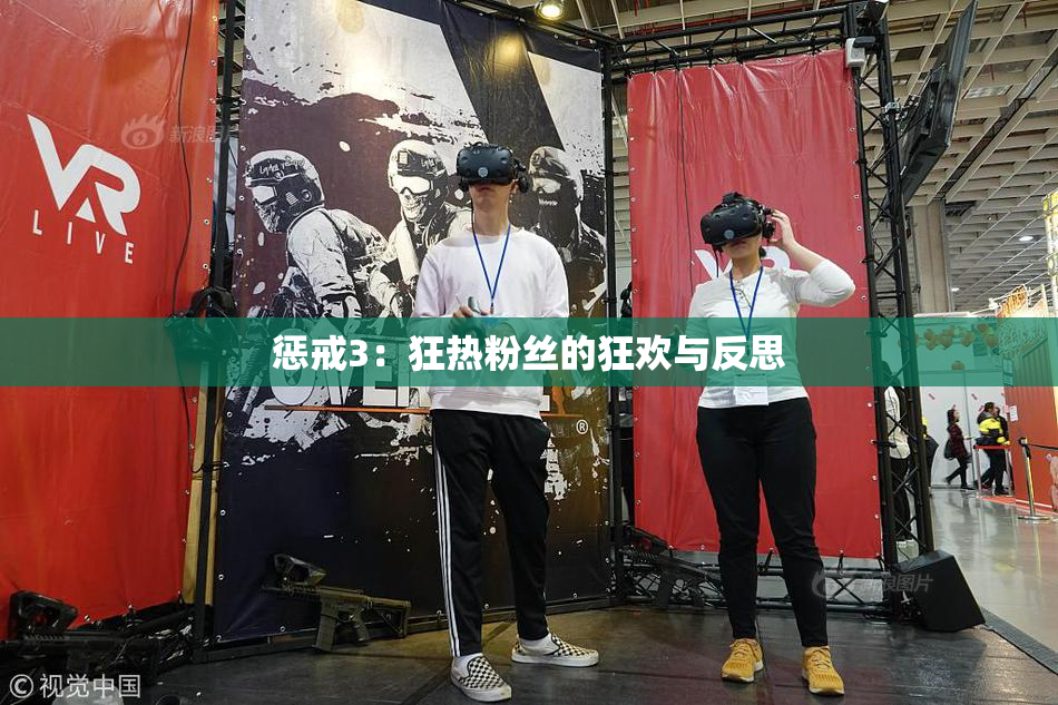 惩戒3：狂热粉丝的狂欢与反思
