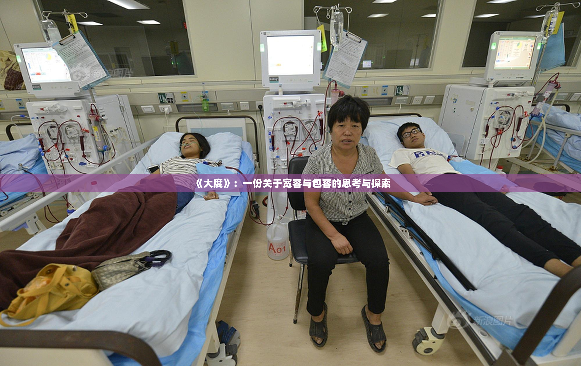 《大度》：一份关于宽容与包容的思考与探索