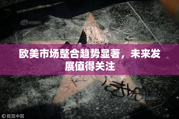 欧美市场整合趋势显著，未来发展值得关注