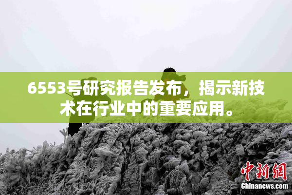 6553号研究报告发布，揭示新技术在行业中的重要应用。