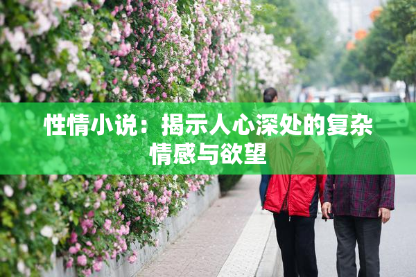性情小说：揭示人心深处的复杂情感与欲望