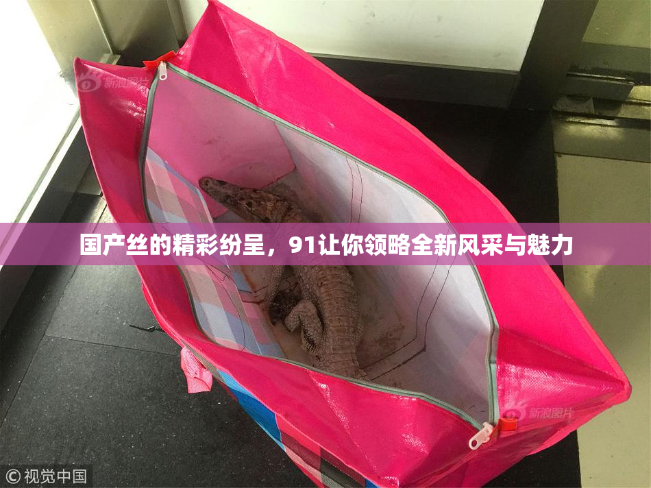 国产丝的精彩纷呈，91让你领略全新风采与魅力
