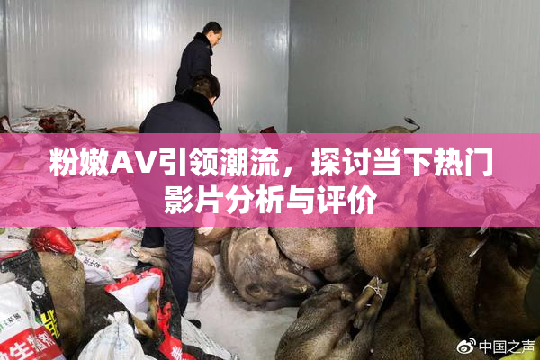 粉嫩AV引领潮流，探讨当下热门影片分析与评价
