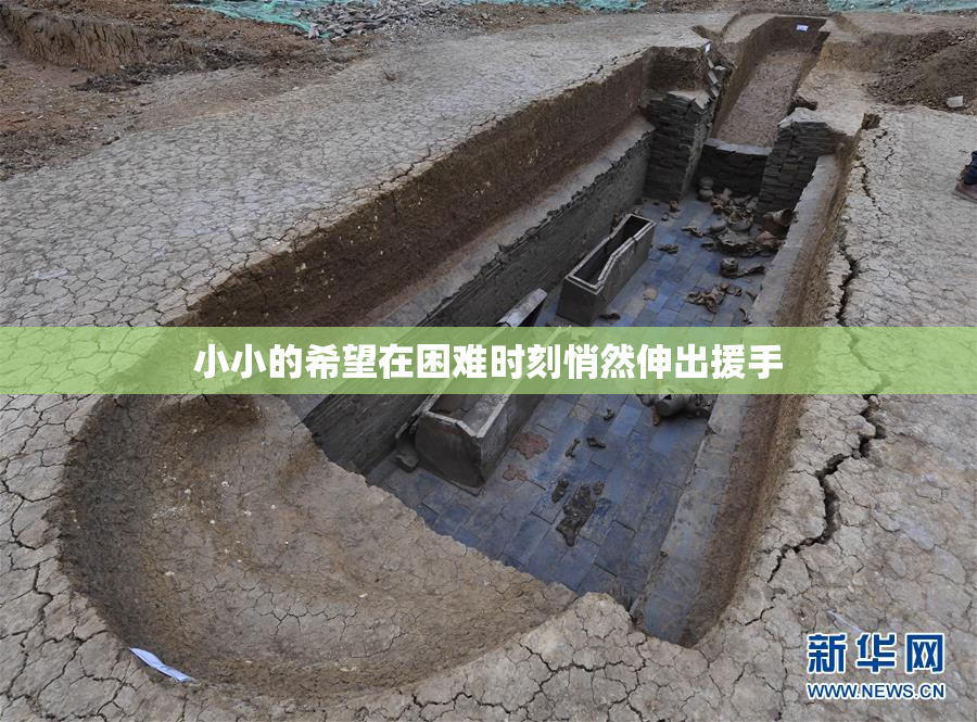 小小的希望在困难时刻悄然伸出援手