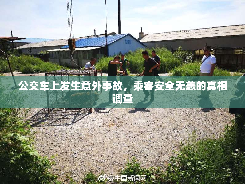 公交车上发生意外事故，乘客安全无恙的真相调查