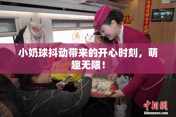小奶球抖动带来的开心时刻，萌趣无限！
