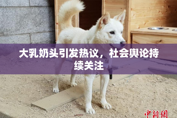 大乳奶头引发热议，社会舆论持续关注