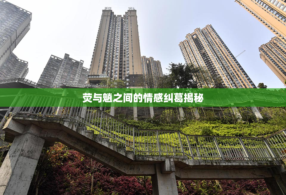 荧与魈之间的情感纠葛揭秘