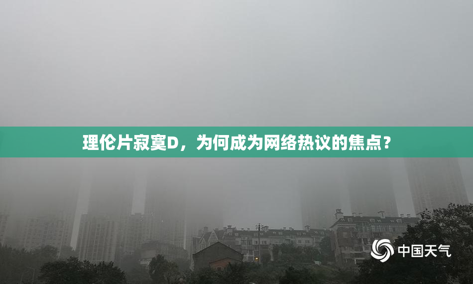 理伦片寂寞D，为何成为网络热议的焦点？