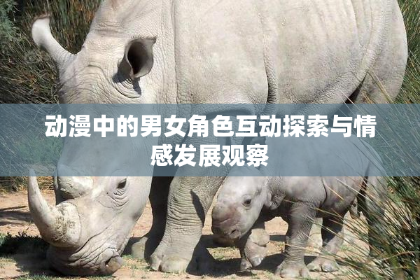 动漫中的男女角色互动探索与情感发展观察
