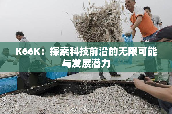 K66K：探索科技前沿的无限可能与发展潜力