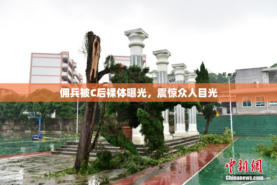 佣兵被C后裸体曝光，震惊众人目光
