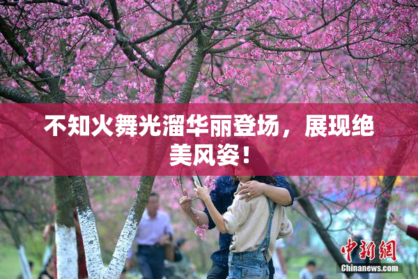 不知火舞光溜华丽登场，展现绝美风姿！