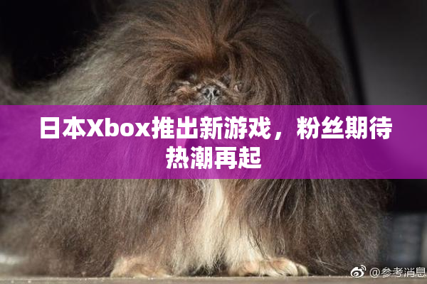 日本Xbox推出新游戏，粉丝期待热潮再起