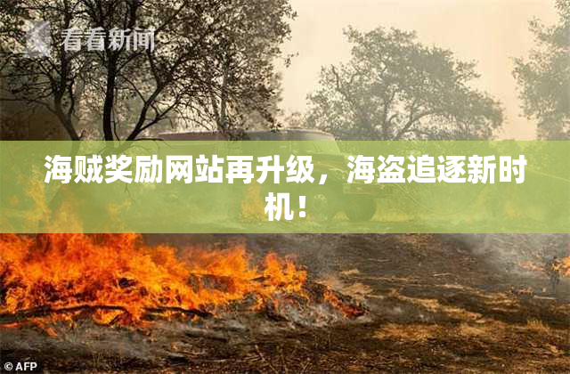 海贼奖励网站再升级，海盗追逐新时机！