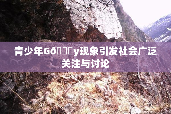 青少年G🈚y现象引发社会广泛关注与讨论