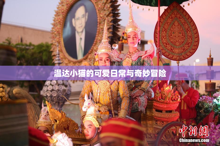 温达小猫的可爱日常与奇妙冒险