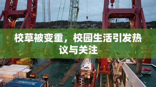 校草被变重，校园生活引发热议与关注
