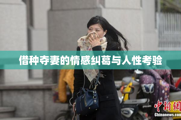 借种夺妻的情感纠葛与人性考验
